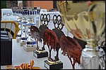 2016_BTT_Pico_Cervero_2001.JPG