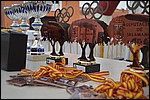 2016_BTT_Pico_Cervero_2004.JPG